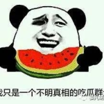 吃瓜群众的瓜网是什么,网络舆论场中的热点追踪者